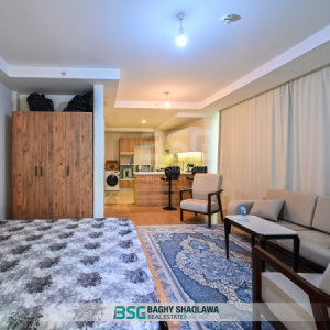 Studio Apartment image 7