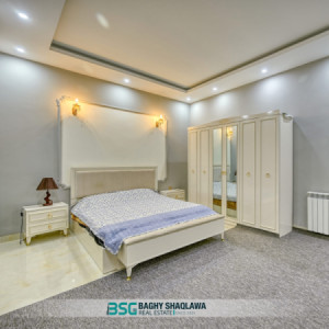 Furnished House For Sale Image 9