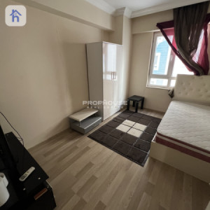 شوقەیەکی فراوان لە هەولێر وێنە 8