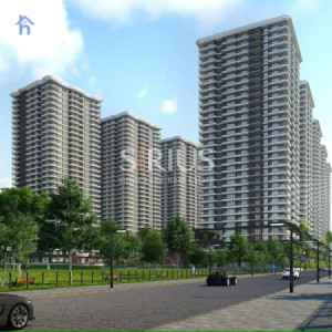 Contemporary Apartment in Rami Towers image 2