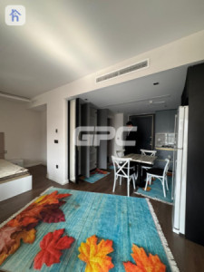 Furnished Apartment For Rent Image 4