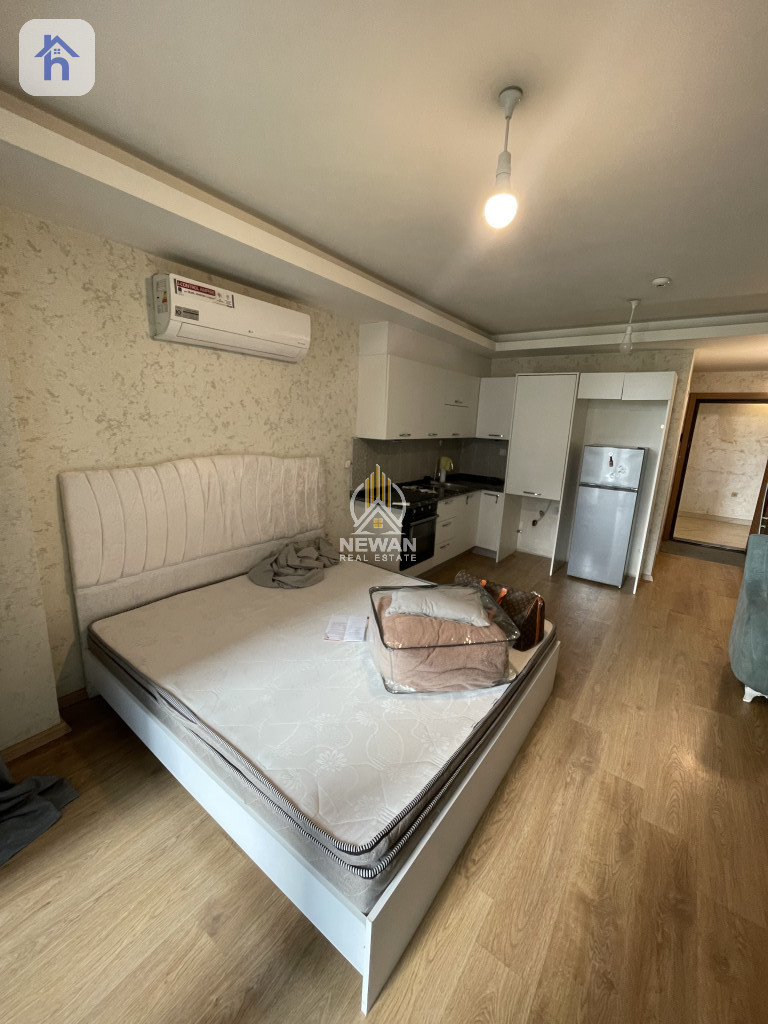 Studio apartment with kitchen and hall