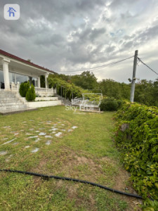 VIP Farm image 2