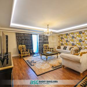 VIP Apartment — 1
