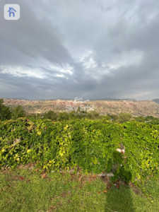 VIP Farm image 12
