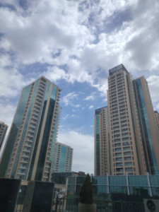 Internal View Apartment image 8