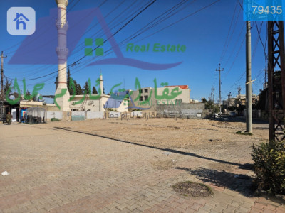 Large Commercial Plot in Minara image 1