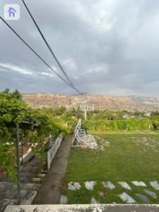 VIP Farm image 11