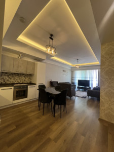Luxurious Apartment with Open Concept Design Image 3