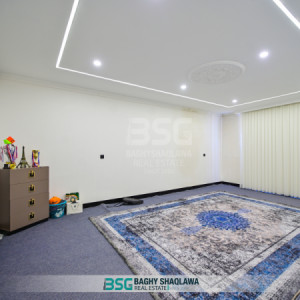 خانووی VIP وێنە 13