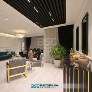شقة VIP صورة 3