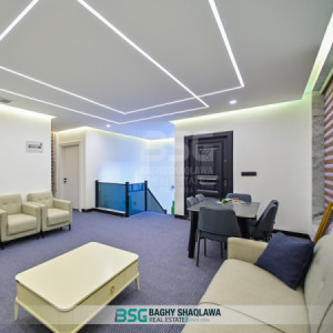 خانووی VIP وێنە 12