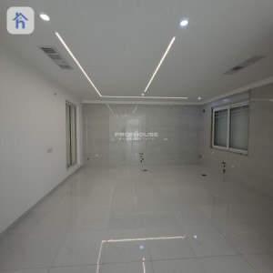 Modern House image 7