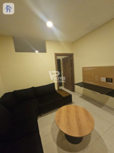 Furnished Apartment For Rent image 2