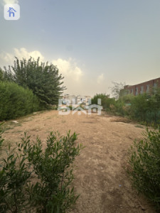 House Opposite Garden image 19