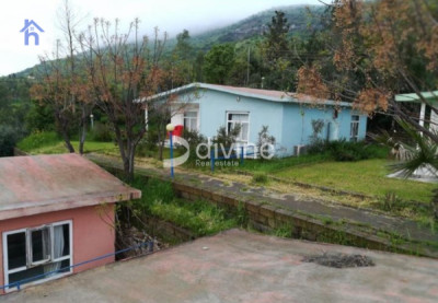 Investment Opportunity with Swimming Pools image 2