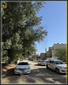 خانووی دوو نهۆمی image 3