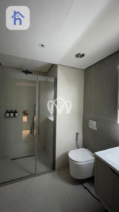 شقة VIP صورة 27