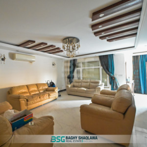 خانووی ڕاخراو بۆ فرۆشتن وێنە 6