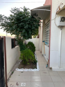 House Opposite Garden image 2