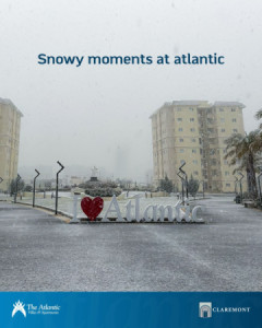 شوقەیەکی ئارام بۆ فرۆشتن لە هەولێر وێنە 6