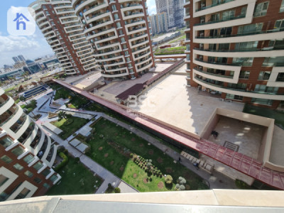 شوقە ڕوو لە باخچە وێنە 10