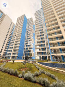 Apartment in Cash image 2