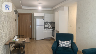 شوقەی ڕاخراو بۆ کرێ image 2