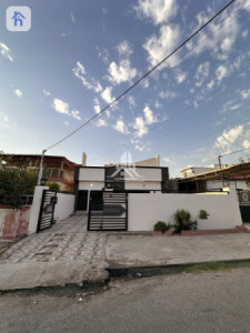 خانووی دوو نهۆمی image 1