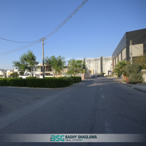 One Floor House image 11