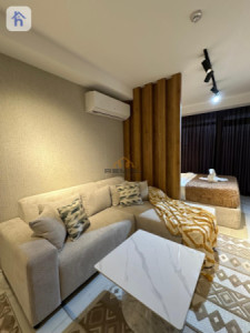 شقة VIP صورة 4