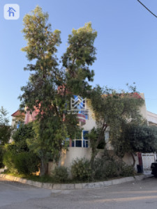 House Opposite Garden image 3
