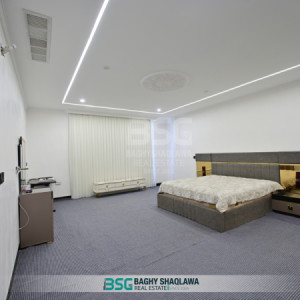 خانووی VIP وێنە 14