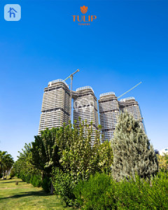 شوقە (2+1) image 1