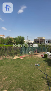 House Opposite Garden image 6