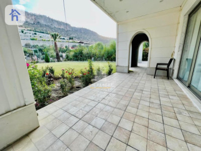 کێڵگەیەکی گەورە بۆ فرۆشتن لە شقڵاوە وێنە 15