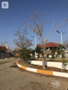 مزرعة (8500م²) image 2