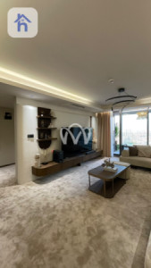 شقة VIP صورة 13