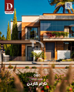 Modern House image 3