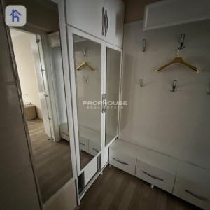 شوقەیەکی فراوان لە هەولێر وێنە 10