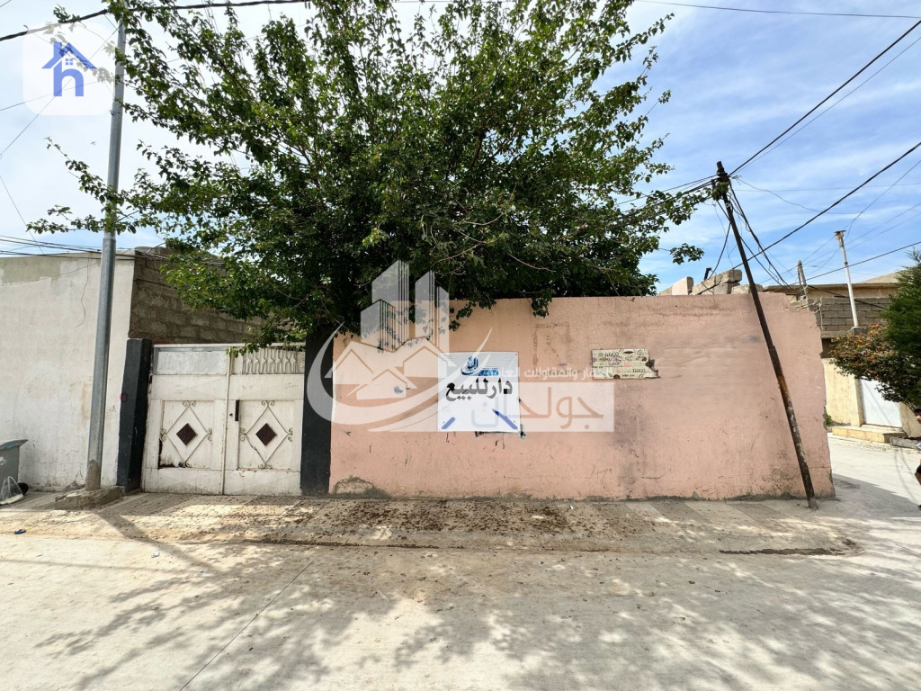 خانووی بازرگانیی ڕوکن