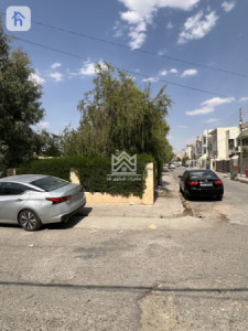 House Opposite Garden image 3