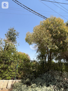 Cozy Family Home in Shorsh image 11