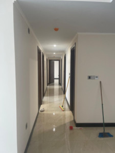 External View Apartment Resim 4