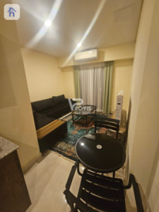 Furnished Apartment image 12
