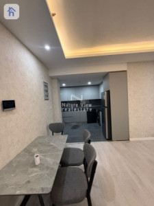 Modern Apartment image 4