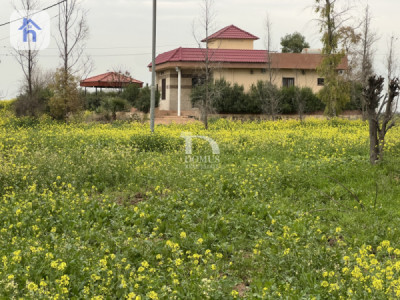Large Agricultural Plot for Sale image 3