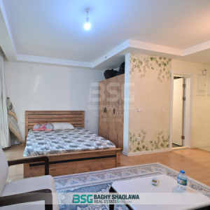Studio Apartment image 6