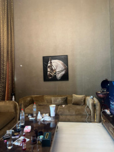 شوقەی دوو نهۆمی image 2