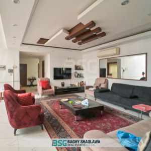 خانووی ڕاخراو بۆ فرۆشتن وێنە 7